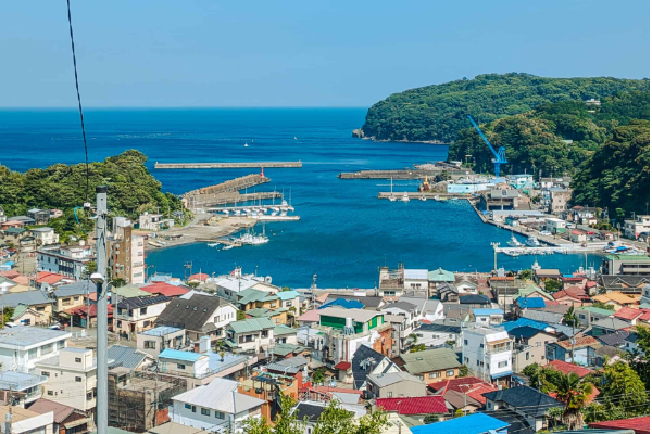 真鶴港・半島周辺エリア